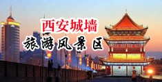女人的逼逼下载网站中国陕西-西安城墙旅游风景区